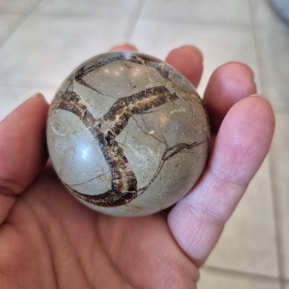 Natural Septarian Dragon Stone Polished Crystal Egg #9 New - Picture 6 of 8
